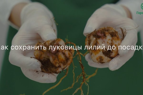 Ссылки на кракен com