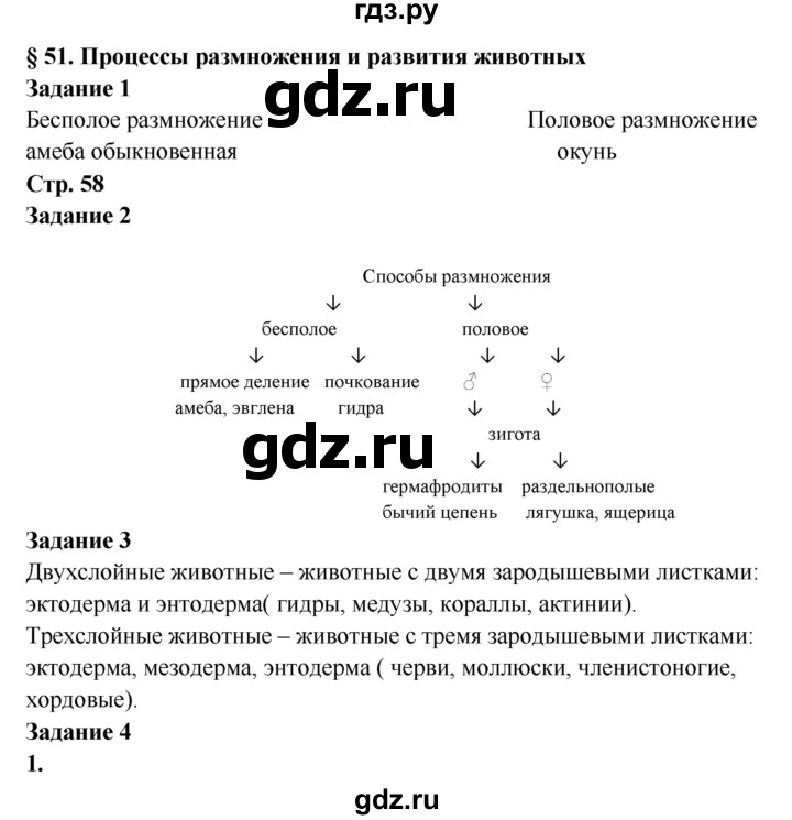 Не пришли деньги на кракен
