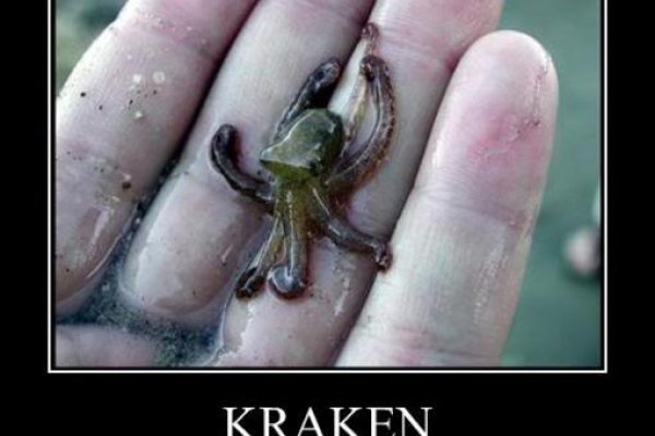 Kraken зеркало официальный